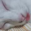 nnewnenwnew