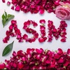 asimr60