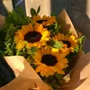 summer_sunflower15