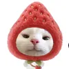 toilatrungquoc