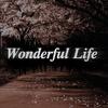 wonderful_life011