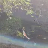 sean_1345
