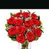 user2135481014233princes