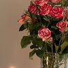 user3816104610934