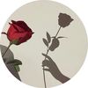 shar.10