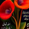 barkaat.hussain