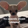 raquelitagarcia45