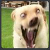 userjevsklmqle