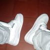 _don_lexo_
