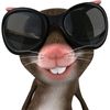 chrstabell_