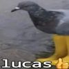 pattykjprq3