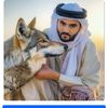 umairsandhu1111