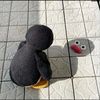 bilaaaa_15
