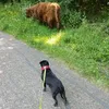 grzegorzsmolsmol