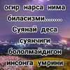 nellycrozz10