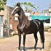 ahsan.ali.975