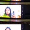 caca_4332h