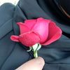 user969188505076