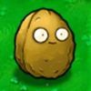 user8033579186148
