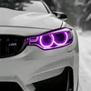 pelmen_187272