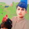 m.hassan.baloch786