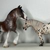 olestria.schleich03