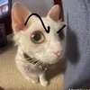 phat_dzai_1234