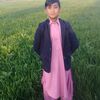 ali.channo7