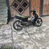 cuman.vega.force