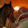amjed_aliragi