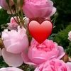 user9449279537603