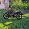 kaji_plonto1