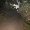 unknown1134678753