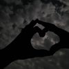 user530190817979