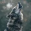 kak_hemn