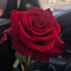boobo_oman993