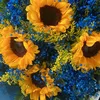 biimw_00024
