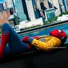 friendlyneighborhood2026