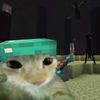 adiiaann_