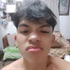 lan_ce29