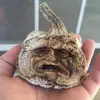 witheredpumpkin