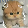 tnhtrnhu01
