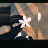 zuhaira429