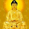 wu_zhuo_qi