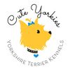 cuteyorkies.com