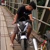semutcervera6