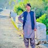 najibkhan3870