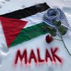 malak.ramadan638