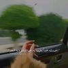 user1703031619694