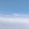 anonymous_14102